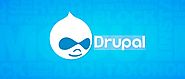 6 Drupal Features That Make It Apt For Custom Web Applications