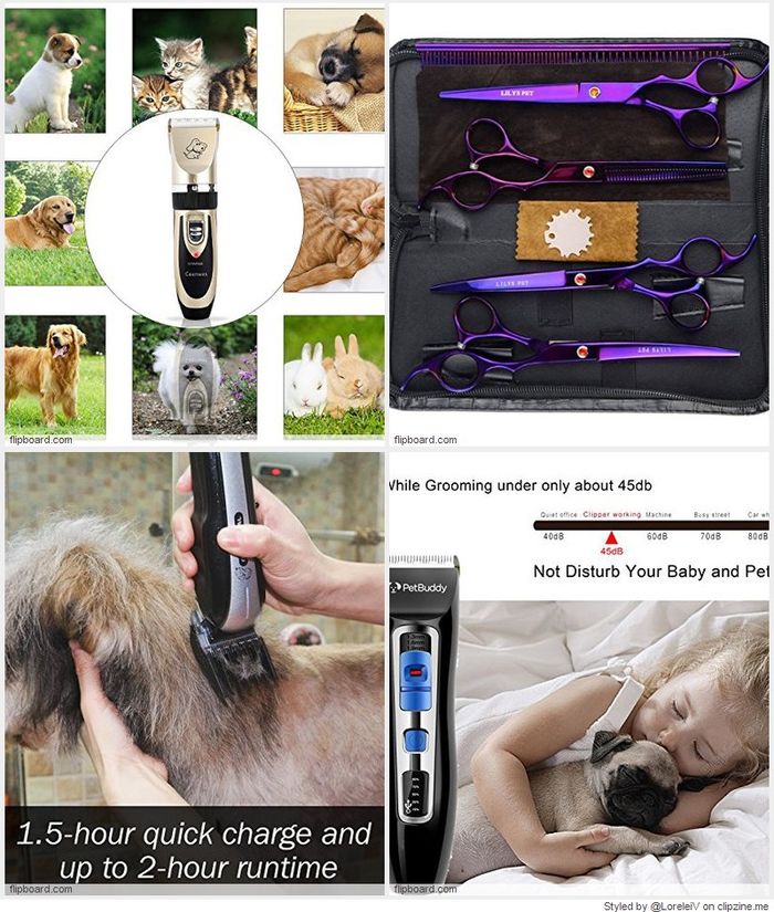 TOP 10 BEST PROFESSIONAL DOG GROOMING KITS REVIEWS 20182019 A Listly List