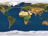 Herpes virus genome traces the ancient path of human migration