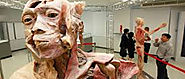 Visit the Human Body Museum
