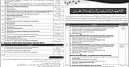 Jobs in Pakistan Daily Career, Employment Updates with Jobx.pk