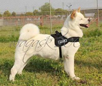 Husky Harness | eBay