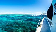 Private Port Douglas Charter Boat – Great Barrier Reef Trips