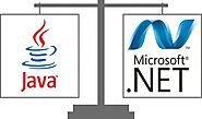 Why Java and .Net are Best platforms for Your Business Website ?