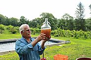 Stormville grape grower reports progress in verjuice venture - News - recordonline.com - Middletown, NY
