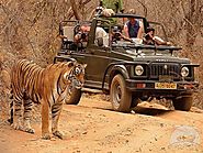 Luxury Golden Triangle Tour Packages