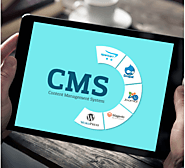 CMS Development Company - Macrew Technologies