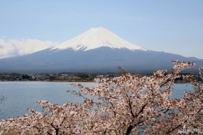 7 articles to make your trip to Japan amazing | A Listly List