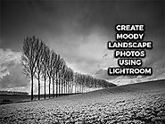 Create Moody Landscape Photos Using Lightroom - Animation Courses