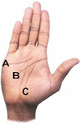 Palm Reading: Indicators of Love in Palmistry