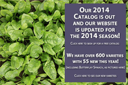 High Mowing Organic Seeds - 100% Organic, Non-GMO Seeds