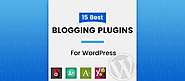 15 Blog WordPress Plugins You Actually Need [Recommended]