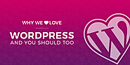 WordPress for Website Development: 9 Reasons Why We Love & Recommend