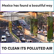 We Need This - Mexico has found a beautiful way to clean...