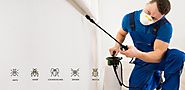 Get Quality Pest Control Services from Pest Control Faridabad