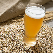 Homemade Beer from Malt Extract - Guide for Beginners - Moonshiners club