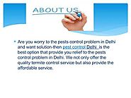 Professional termite pest control services in delh