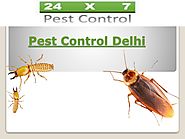 Best Pest Control Services In Delhi
