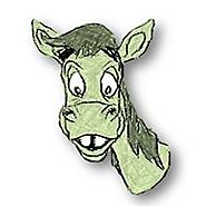 Guernsey Donkey SEO Off-Page Digital MarketingBusiness Service in Guernsey, Channel Islands