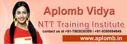 Aplomb Vidya NTT Training Institute in Delhi