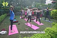 Why Become a Yoga Teacher - Yoga Teacher Training in Rishikesh Blog