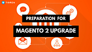 Magento Ecommerce Websites Re-Build - Magento 2 Upgrade Preparation
