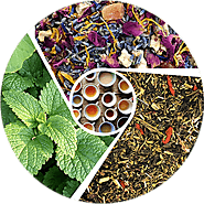 Buy Organic, Green, Herbal Tea Wholesale Suppliers Distributors