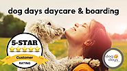 St Paul Dog Daycare & Boarding Terrific 5 Star Review