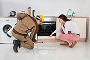 WHY HIRE PROFESSIONAL PEST CONTROL COMPANY OR PROFESSIONALS?