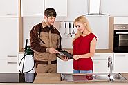 Why Pest Control Services are To Be Done At Regular Intervals?