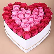 Buy Light N Dark Pink Roses in White Heart Shape Box online - OyeGifts.com