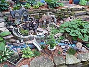 Make a Fairy Garden: Tips to Make Your Garden Magical
