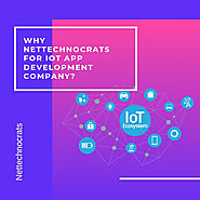 Why Nettechnocrats for IOT app development company?