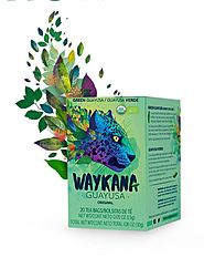 poprvé v ČR , amazonská guayusa, zdravá energie, jemná chut