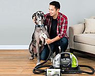 How to Get Rid of Pet Hairs With Vacuum Cleaners