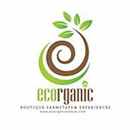 Ecorganic Stays (@ecorganic_stays) • Instagram photos and videos