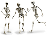Build a Skeleton