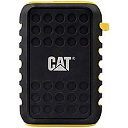 CAT - from building bulldozers to robust POWERBANKS?
