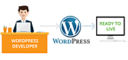 Hire Wordpress Developer, Hire Dedicated Wordpress Developer | Emphatic Technologies