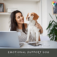 How to get emotional support animal letter
