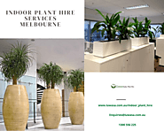 Indoor Plant Hire Services Melbourne