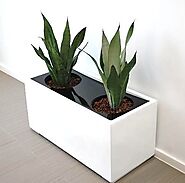 Install Inspiring Greenery in a Great Variety of Office Planter Boxes