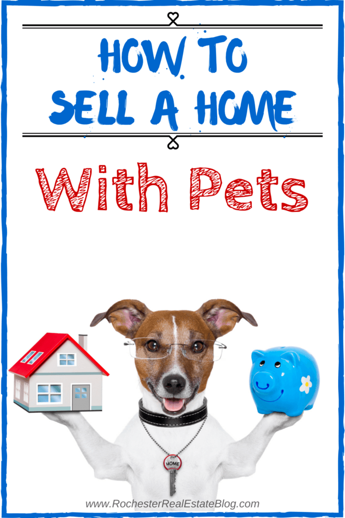 Top Home Selling With Pets Articles A Listly List