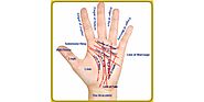 Learn Palm Reading Online and Know Who You Are