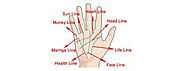 Learn Palmistry at Leading Vedic Institute of India