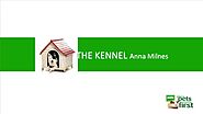The Kennel: a look into Pets at Home’s digital workplace - Anna Milnes, Pets at Home