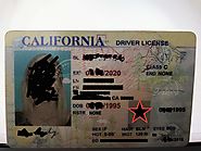 Where to buy California Fake ID – My21Blog. Fake id reviews and trusted vendors.