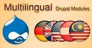 The Effective Methods of Multilingual Web Site Designing and Development