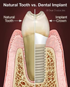 SPC Diploma of Dentistry