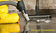 5 Steps To Deal With Sewage Clean Up